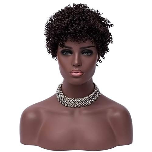 WGPFWIG Short Curly Kinky Black Brown Wigs for Black Women Fluffy Wavy Black Brown Synthetic Hair Wig Natural Wigs For Women XJ06