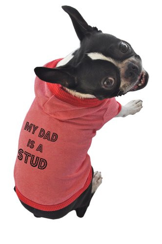 Ruff Ruff and Meow Dog Hoodie My Dad is a Stud Red ExtraLarge