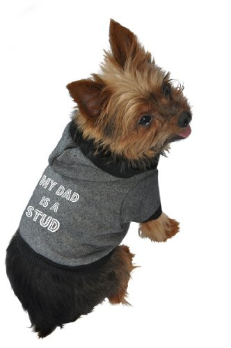 Ruff Ruff and Meow Dog Hoodie My Dad is a Stud Black ExtraSmall