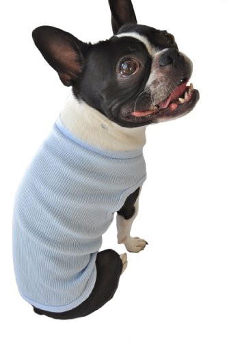 Ruff Ruff and Meow Dog Tank Top Plain Blue ExtraSmall