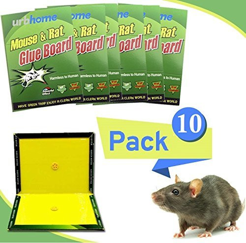 Easy Mouse Trap Extra Sticky Mouse Glue Boards Rodent Glue Trap with Large Capture Area Mouse Trap and Rat Traps for Mice Rats 10Pack