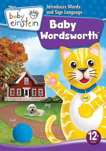 Baby Einstein Baby Wordsworth  First Words Around the House