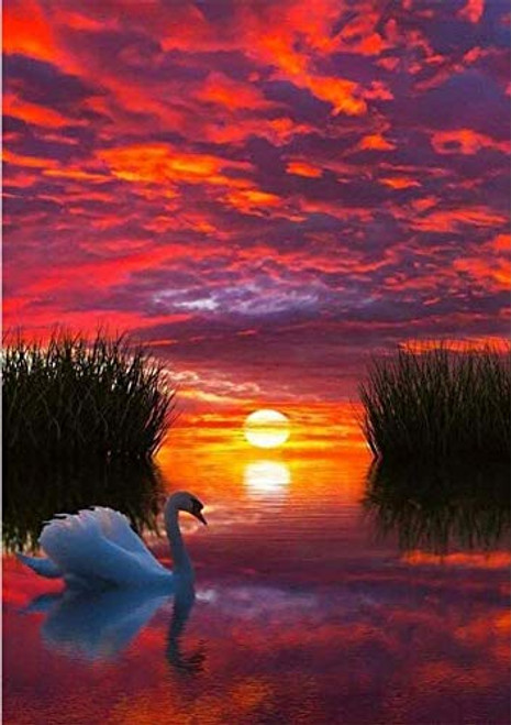 DIY 5D Diamond Painting by Number Kits Crystal Rhinestone Diamond Embroidery Paintings Pictures Arts Craft for Home Wall Decor Full Round DrillSwan Sunrise DIY 5D Diamond Painting by Number Kits Crystal Rhinestone Diamond Embroidery Paintings Pictures Arts Craft for Home Wall Decor Full Round DrillSwan Sunrise