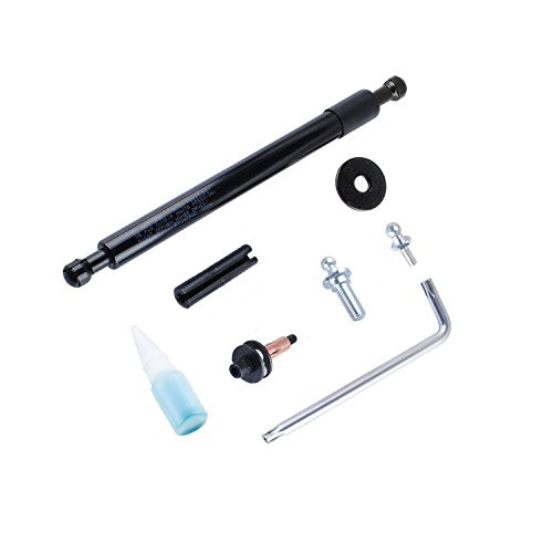 43300 Tailgate Assist Compatible with Dodge Ram 1500 2500 3500 20022009 Truck Shocks Lift Support
