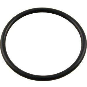 Waterway Plastics Swimming Pool Chlorinator Lid VITON ORing 8050348VB Lid ORing for CAG004W or CLC012W Chlorinator Same as 8050348V
