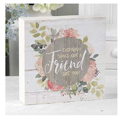 Blossom Bucket 20139558 A Friend Like You Wall Box Sign 6inch Length