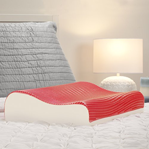 Sealy Memory Foam  Hydraluxe Gel Contour Pillow