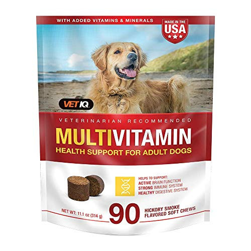 VetIQ MultiVitamin Health Support for Dogs 90ct 111oz