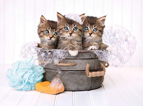 Clementoni Kittens and Soap Jigsaw Puzzle Collection 500 Pieces