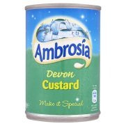 Ambrosia Devon Custard 141 Ounce Pack of 12