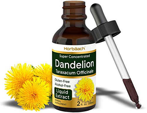 Dandelion Root Extract  2 fl oz  Super Concentrated  Alcohol Free Liquid Tincture  Vegetarian NonGMO Gluten Free  by Horbaach