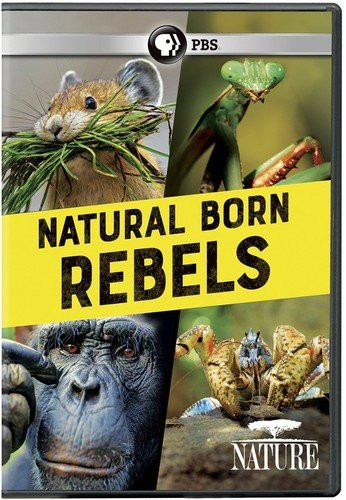 NATURE Natural Born Rebels DVD