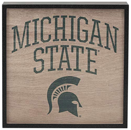 Open Road Brands Michigan State University Wood Wall D?r