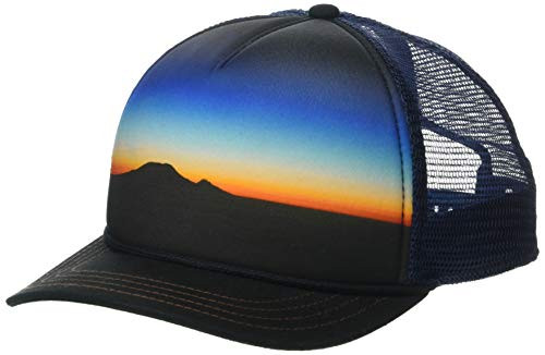 Pistil Mens Dusk Trucker Hat Navy