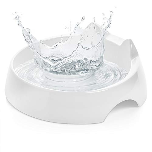 CatGuru Cat Food Water Bowl Premium Cat Bowls No Spill Cat Food Bowls Whisker Stress Free Cat Bowl Reliefs Whisker Fatigue Non Skid Pet Bowls for Cats Cat Bowls For Food And Water CatGuru Cat Food Water Bowl Premium Cat Bowls No Spill Cat Food Bowls Whisker Stress Free Cat Bowl Reliefs Whisker Fatigue Non Skid Pet Bowls for Cats Cat Bowls For Food And Water