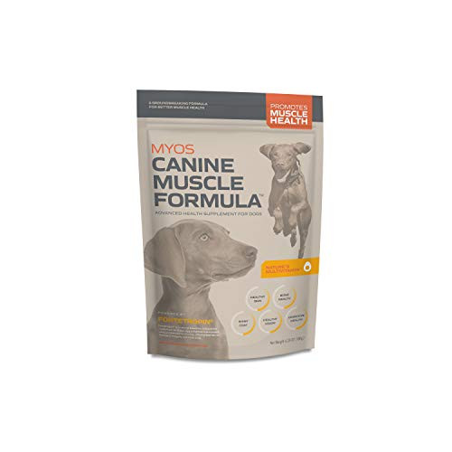 MYOS Canine Muscle Formula  Clinically Proven AllNatural Muscle Building Supplement  Reduce Muscle Loss in Aging Dogs and Improve Recovery from Injury or Surgery 635 Ounce