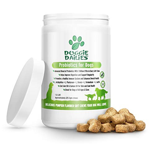 Doggie Dailies Probiotics for Dogs 225 Soft Chews Advanced Dog Probiotics with Prebiotics Relieves Dog Diarrhea Improves Digestion Enhances Immune System Improves Overall Health Pumpkin Doggie Dailies Probiotics for Dogs 225 Soft Chews Advanced Dog Probiotics with Prebiotics Relieves Dog Diarrhea Improves Digestion Enhances Immune System Improves Overall Health Pumpkin
