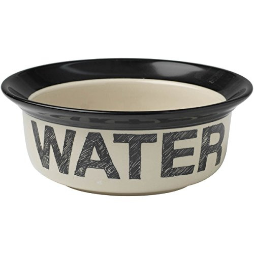 PetRageous Designs Pooch Basics 6 Pet Bowl Water