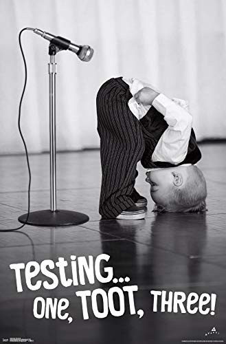 Trends International AvantiMic Check Wall Poster 22375 x 34 Multi