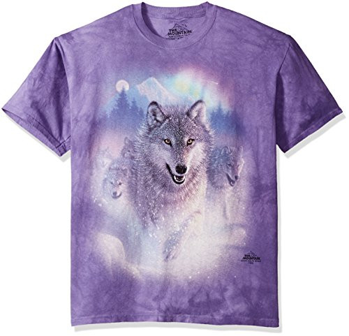 The Mountain Northern Lights Adult TShirt Purple 2XL