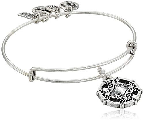 Alex and Ani Replenishment 19 Womens Wings Of Change Ii Charm Bangle Rafaelian Silver