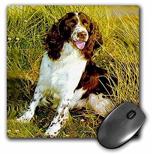 3dRose LLC 8 x 8 x 025 Inches Mouse Pad English Springer Spaniel mp4651