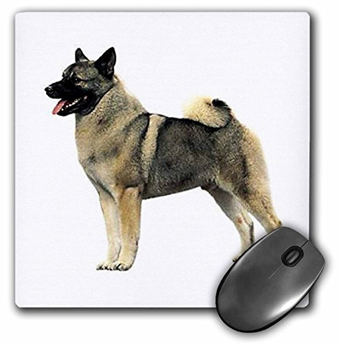 3dRose LLC 8 x 8 x 025 Inches Mouse Pad Norwegian Elkhound mp9951