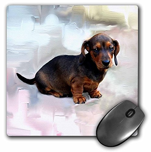 3dRose LLC 8 x 8 x 025 Inches Mouse Pad Miniature Dachshund mp41571