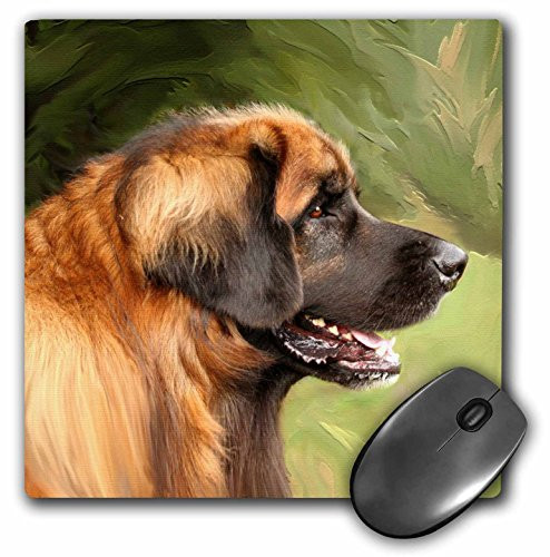 3dRose LLC 8 x 8 x 025 Inches Mouse Pad Leonberger Portrait mp45011