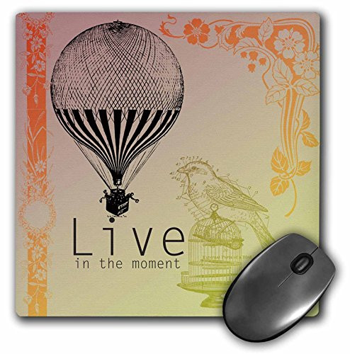 3dRose LLC 8 x 8 x 025 Inches Mouse Pad Bird and Hot Air Balloon mp791791