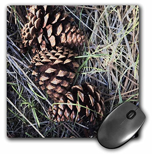 3dRose LLC 8 x 8 x 025 Inches Mouse Pad Ponderosa Pine Cone Flora in Grasslands Chuck Haney mp916401