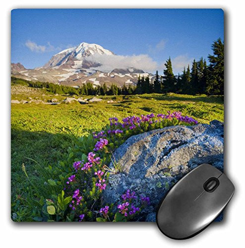 3dRose LLC 8 x 8 x 025 Inches Mouse Pad Mountain Heather at Spray Park Mt Rainier Washington Gary Luhm mp956651