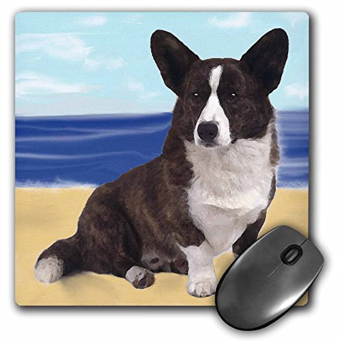 3dRose LLC 8 x 8 x 025 Inches Cardigan Welsh Corgi Mouse Pad mp41611