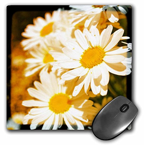 3dRose LLC 8 x 8 x 025 Inches Mouse Pad Daisy Flowers mp452311