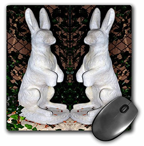 3dRose LLC 8 x 8 x 025 Inches Mouse Pad A Garden Turtle Statue with A Frog Riding Its Back mp1652921