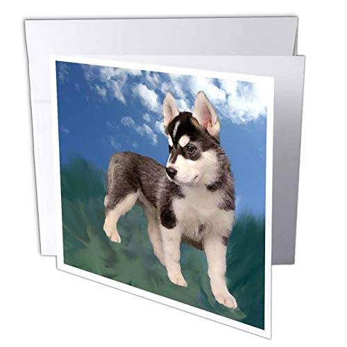 3dRose Siberian Husky Puppy  Greeting Cards 6 x 6 inches set of 12 gc44392