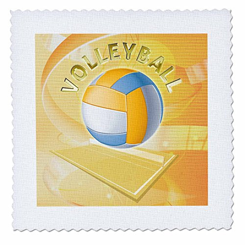 3dRose qs219803 VolleyballQuilt Square 8 by 8Inch