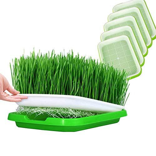Seed Sprouter Tray BPA Free Bean Sprout Grower Germination Kit
