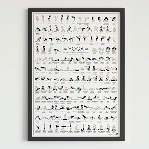 Follygraph Yoga Poster  Joga Picture 150 Asanas