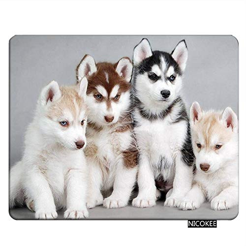 Nicokee Dogs Gaming Mousepad Husky Puppies Dogs Mouse Pad Rectangle Mouse Mat for Computer Desk Laptop Office 95 X 79 Inch NonSlip Rubber