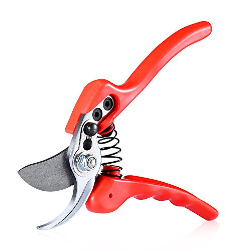 Winloop Bypass Hand Pruning Shears Professional Hand Pruner with Safety Lock Tree Branch Trimmers Scissors Garden Shears Hand Clippers for GardenYard