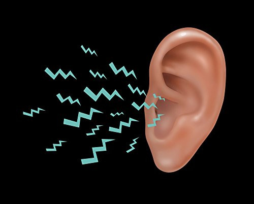 Sound Entering Human Outer Ear Illustration Poster Print by Gwen ShockeyScience Source 24 x 18