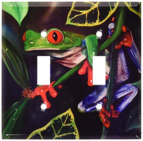 Art Plates - Red Eyed Tree Frog Switch Plate - Double Toggle