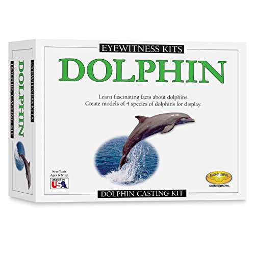 Skullduggery Eyewitness Kits Perfect Cast Dolphin Cast, Paint, Display and Learn Craft Kit