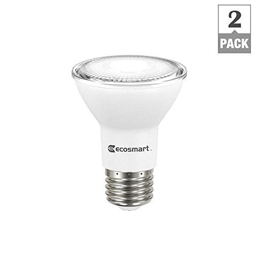 50W Equivalent Bright White PAR20 Dimmable LED Flood Light Bulb (2-Pack)