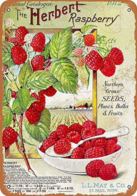 Ufcell Vintage Retro 8x12 Sign 1912 Herbert Raspberries Funny Fruits Vegetables Food Sweet Summer Wall Decor Home Decor Novlety Tin Metal Sign