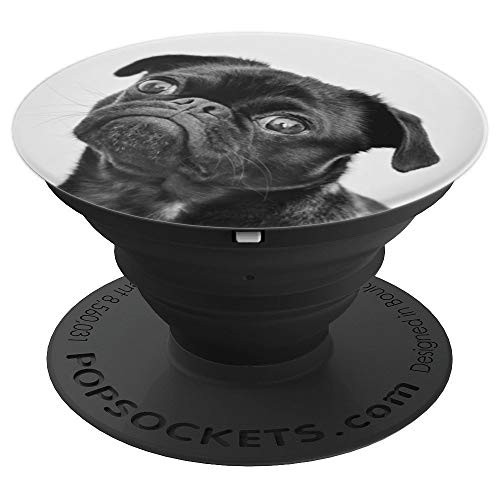 Black Pug Cute Dog Portrait Image Dogs Photo Funny Pugs Gift PopSockets Grip and Stand for Phones and Tablets Black Pug Cute Dog Portrait Image Dogs Photo Funny Pugs Gift PopSockets Grip and Stand for Phones and Tablets