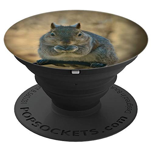Cute Playful Tree Squirrel Furry Animal Nature Love Photo PopSockets Grip and Stand for Phones and Tablets