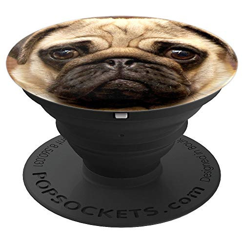 Cute Pug Dog Face Photo PopSockets Grip and Stand for Phones and Tablets Cute Pug Dog Face Photo PopSockets Grip and Stand for Phones and Tablets