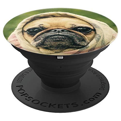 Pug Dog Portrait Picture Cute Pugs Funny Photo Dogs Gift PopSockets Grip and Stand for Phones and Tablets Pug Dog Portrait Picture Cute Pugs Funny Photo Dogs Gift PopSockets Grip and Stand for Phones and Tablets